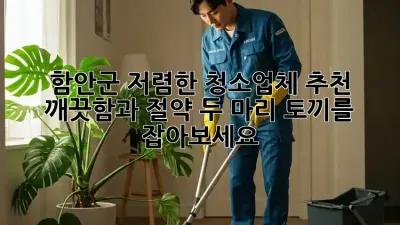 함안군 저렴한 청소업체 추천: 깨끗함과 절약, 두 마리 토끼를 잡아보세요!