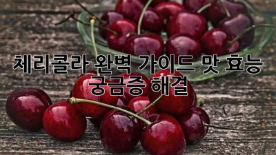 체리콜라🍒 완벽 가이드: 맛, 효능, 궁금증 해결!